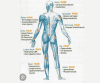 Laser Therapy