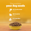 Pedigree Puppy Dry Food - Meat & Milk