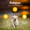 Pedigree Puppy Dry Food - Meat & Milk