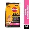 Pedigree Pro Puppy Large Breed