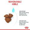 Royal Canin Mini Range: For Adult Dog Weight Upto 10 Kg Starter (For Mother & Puppy)