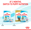 Royal Canin Mini Range: For Adult Dog Weight Upto 10 Kg Starter (For Mother & Puppy)