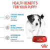 Royal Canin Mini Range: For Adult Dog Weight Upto 10 Kg Puppy