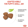 Royal Canin Mini Range: For Adult Dog Weight Upto 10 Kg Puppy