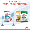 Royal Canin Mini Range: For Adult Dog Weight Upto 10 Kg Puppy
