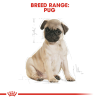 Royal Canin Mini Range: For Adult Dog Weight Upto 10 Kg Pug Puppy