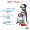 Royal Canin Medium Range: For Adult Dog Weight Between 11 and 25 Kg Starter (For Mother & Puppy)