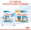 Royal Canin Medium Range: For Adult Dog Weight Between 11 and 25 Kg Starter (For Mother & Puppy)