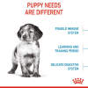Royal Canin Medium Range: For Adult Dog Weight Between 11 and 25 Kg Puppy