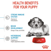 Royal Canin Medium Range: For Adult Dog Weight Between 11 and 25 Kg Puppy