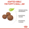 Royal Canin Medium Range: For Adult Dog Weight Between 11 and 25 Kg Puppy