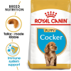 Royal Canin Medium Range: For Adult Dog Weight Between 11 and 25 Kg Cocker Spaniel Puppy 3 Kg Kibble