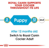 Royal Canin Medium Range: For Adult Dog Weight Between 11 and 25 Kg Cocker Spaniel Puppy 3 Kg Kibble