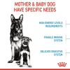Royal Canin Maxi Range: For Adult Dog Weight Between 26 and 44 Kg Starter (For Mother & Puppy)