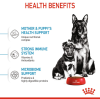 Royal Canin Maxi Range: For Adult Dog Weight Between 26 and 44 Kg Starter (For Mother & Puppy)