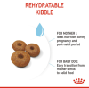 Royal Canin Maxi Range: For Adult Dog Weight Between 26 and 44 Kg Starter (For Mother & Puppy)