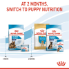 Royal Canin Maxi Range: For Adult Dog Weight Between 26 and 44 Kg Starter (For Mother & Puppy)
