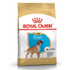 Royal Canin Maxi Range: For Adult Dog Weight Between 26 and 44 Kg Boxer Puppy