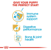 Royal Canin Maxi Range: For Adult Dog Weight Between 26 and 44 Kg German Shepherd Puppy