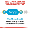 Royal Canin Maxi Range: For Adult Dog Weight Between 26 and 44 Kg Golden Retriever Puppy