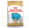 Royal Canin Maxi Range: For Adult Dog Weight Between 26 and 44 Kg Labrador Retriever Puppy