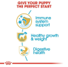 Royal Canin Maxi Range: For Adult Dog Weight Between 26 and 44 Kg Labrador Retriever Puppy