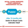 Royal Canin Maxi Range: For Adult Dog Weight Between 26 and 44 Kg Labrador Retriever Puppy