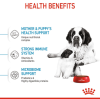 Royal Canin Giant Range: For Adult Dog Weight Over 45 Kg Starter (For Mother & Puppy)