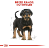 Royal Canin Giant Range: For Adult Dog Weight Over 45 Kg Rottweiler Puppy