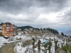 Shimla Honeymoon Package