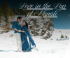 Budget Manali Honeymoon Package By Volvo