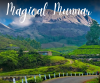 Munnar Honeymoon Tour Package