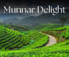 Best Munnar Honeymoon Package