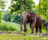 MunnarThekkady Alleppey Tour With Houseboat