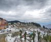 Budget Shimla Honeymoon Package