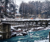 Best Manali Honeymoon Package By Volvo