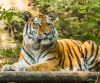 Best Kerala Tour Package For Kochi Munnar Thekkady  Alleppey Tour With Houseboat