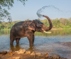 Budget Kerala Munnar Thekkady  Alleppey Tour With Houseboat