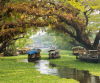 Best  Kerala Tour Package  With Houseboat