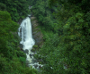 Best Munnar Honeymoon Package